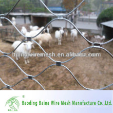 Technologie avancée en acier inoxydable Wire Rope Zoo Fencing Mesh Factory